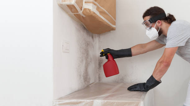 Attic Mold Remediation treatment on roof deck in Olney