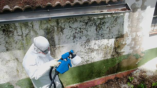 Mold Remediation service in Olney, Olney, IL